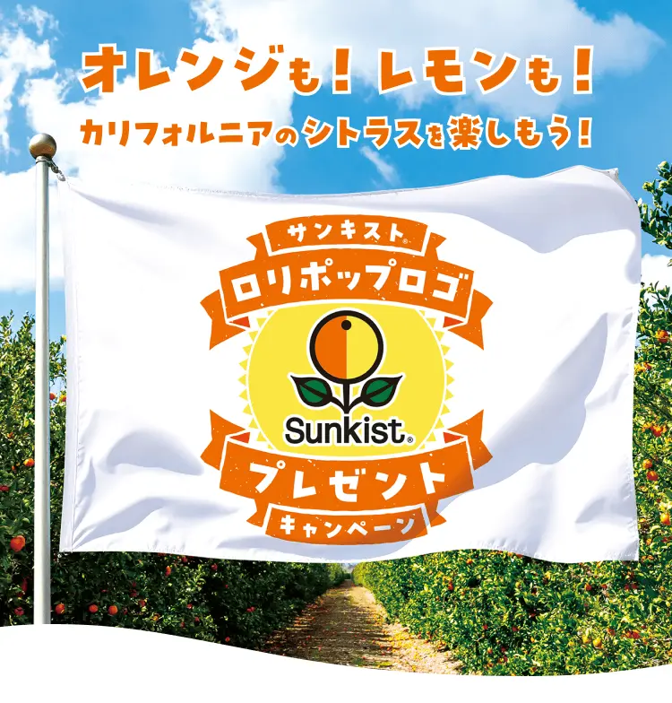 オレンジも!レモンも!カリフォルニアのシトラスを楽しもう!サンキストロリポップロゴのプレゼントキャンペーン